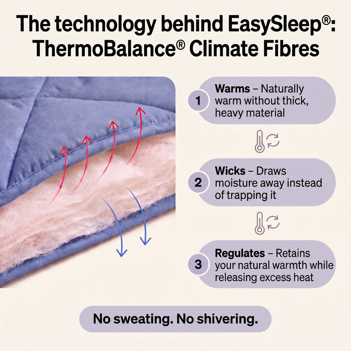 Eavenest® – 2-in-1 All-Season Duvet